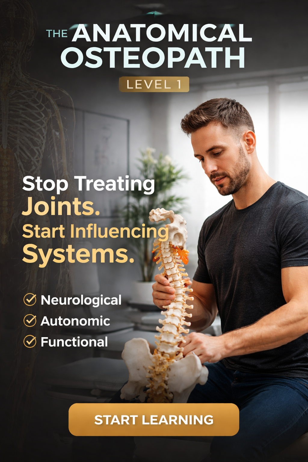 The Anatomical Osteopath