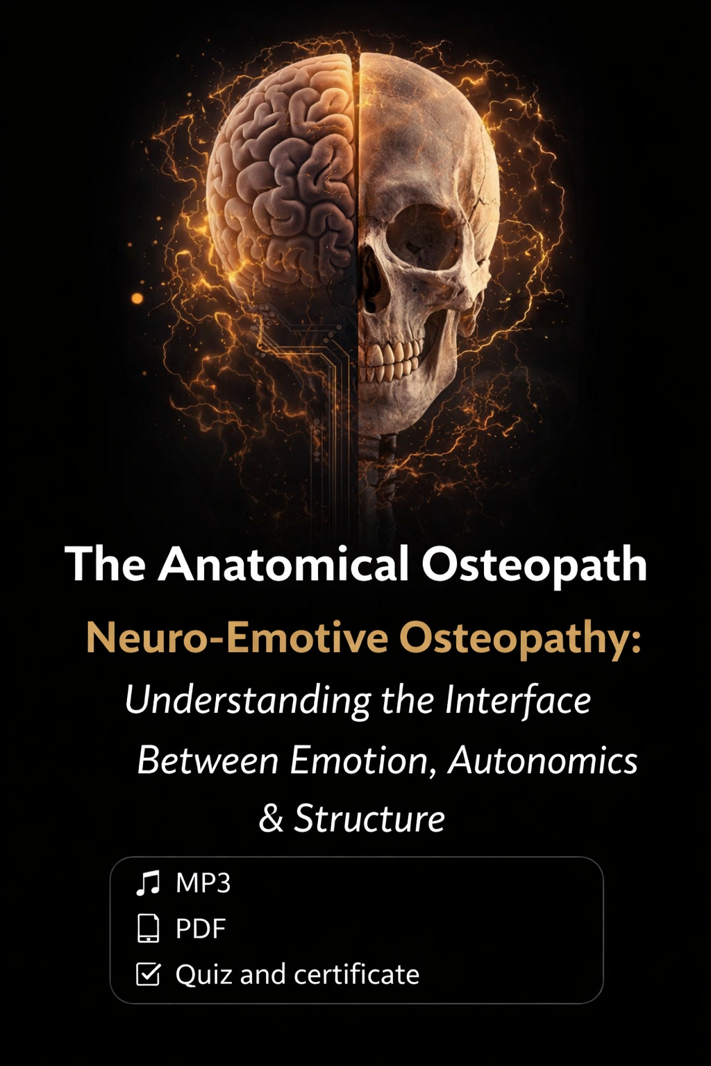 The Anatomical Osteopath: Neuro-Emotive Osteopathy